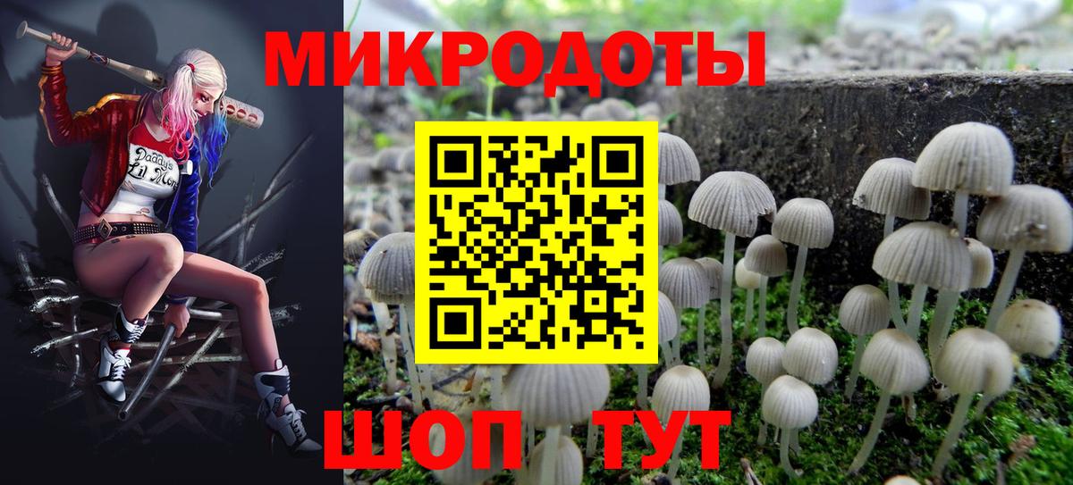 Гусиноозёрск  Псилоцибиновые грибы Magic Shrooms  Вход с VPN 